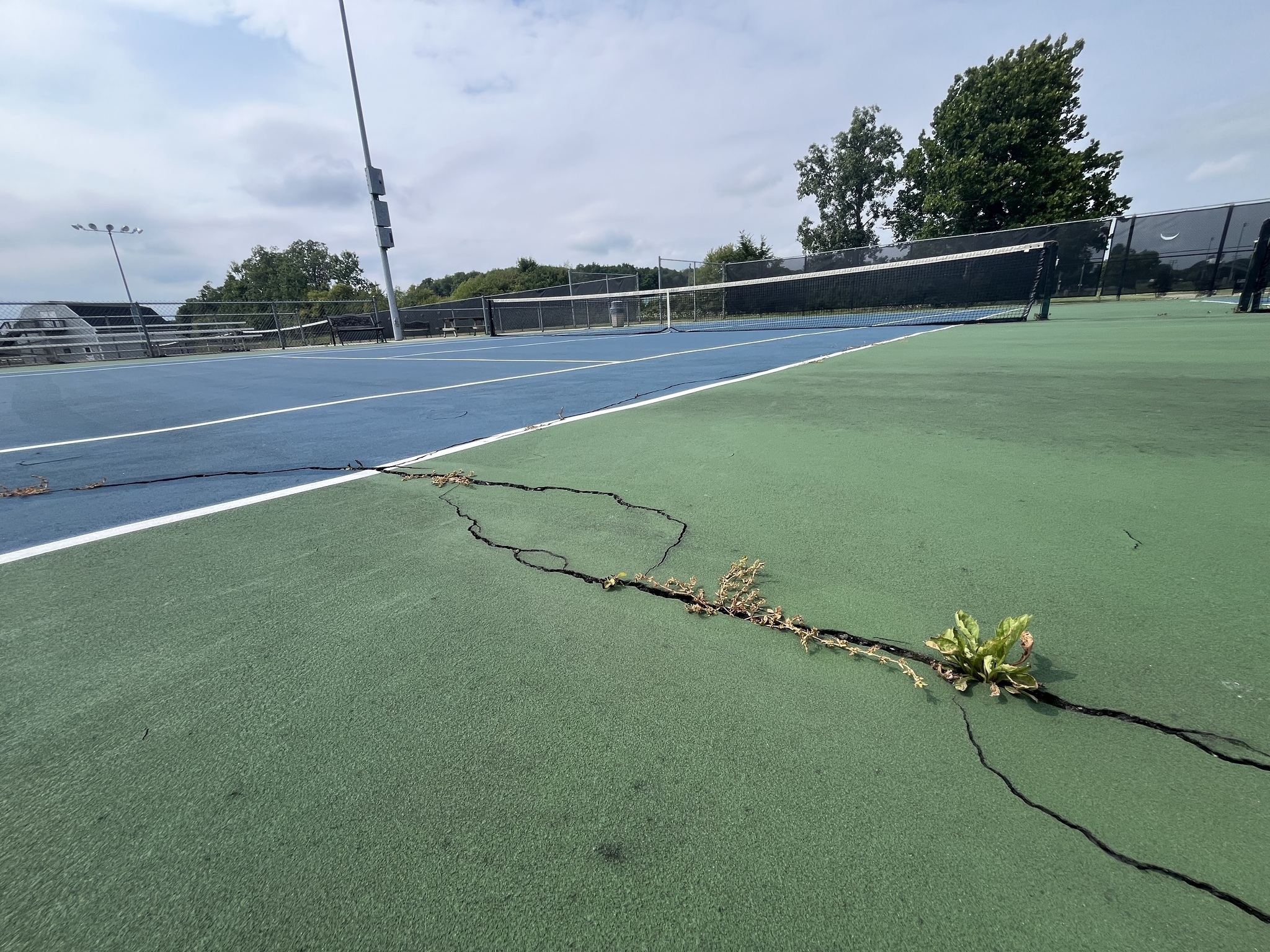 Deteriorating tennis courts